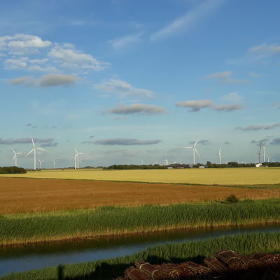 Bild vergrößern: Landwirtschaft und Windenergie